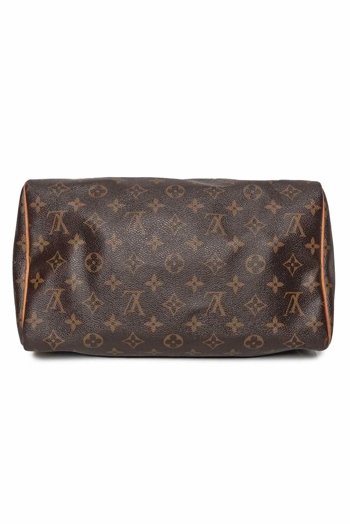 Louis Vuitton Purse